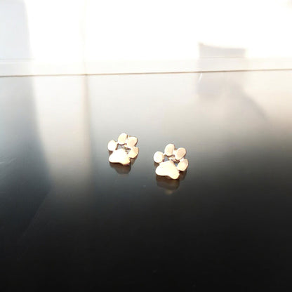 Hypoallergene poot-oorbellen